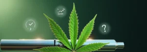 Recharges vuse CBD : compatibilit, efficacit et scurit en question